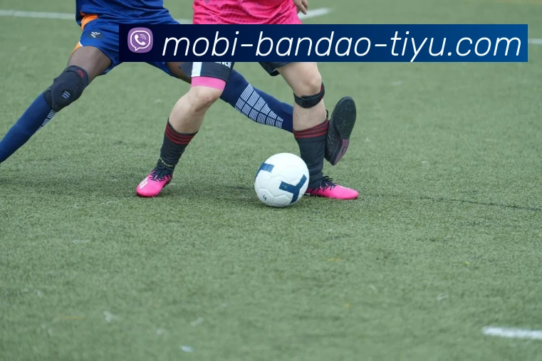 App Interface Preview