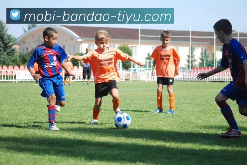 半岛体育APP 封面图