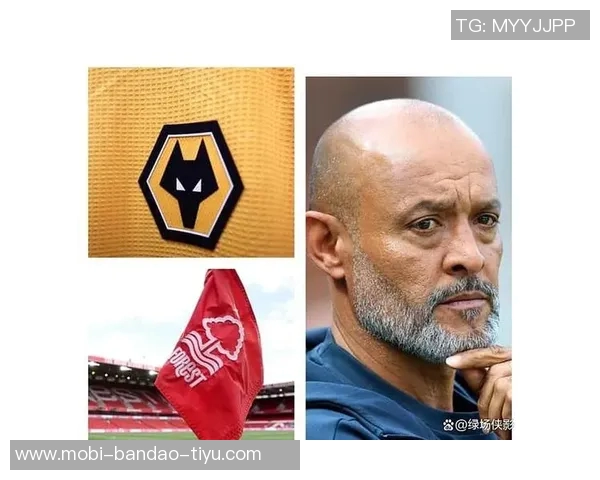 西汉姆引援榜揭晓阿莱5000万冬窗新援表现抢眼